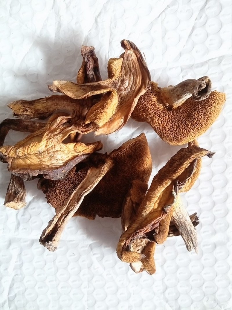 松蘑瓣，松蘑条，松蛾子，土信，粘团子，粘窝子，一手货源