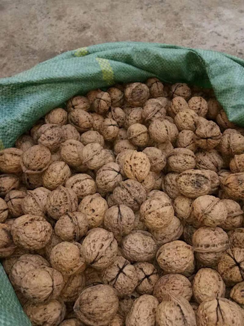 核桃大量批发需要的老板联系