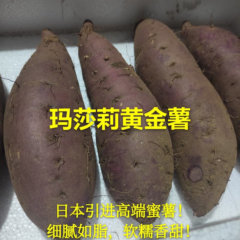 西瓜红地瓜普薯32地瓜红薯价格公平