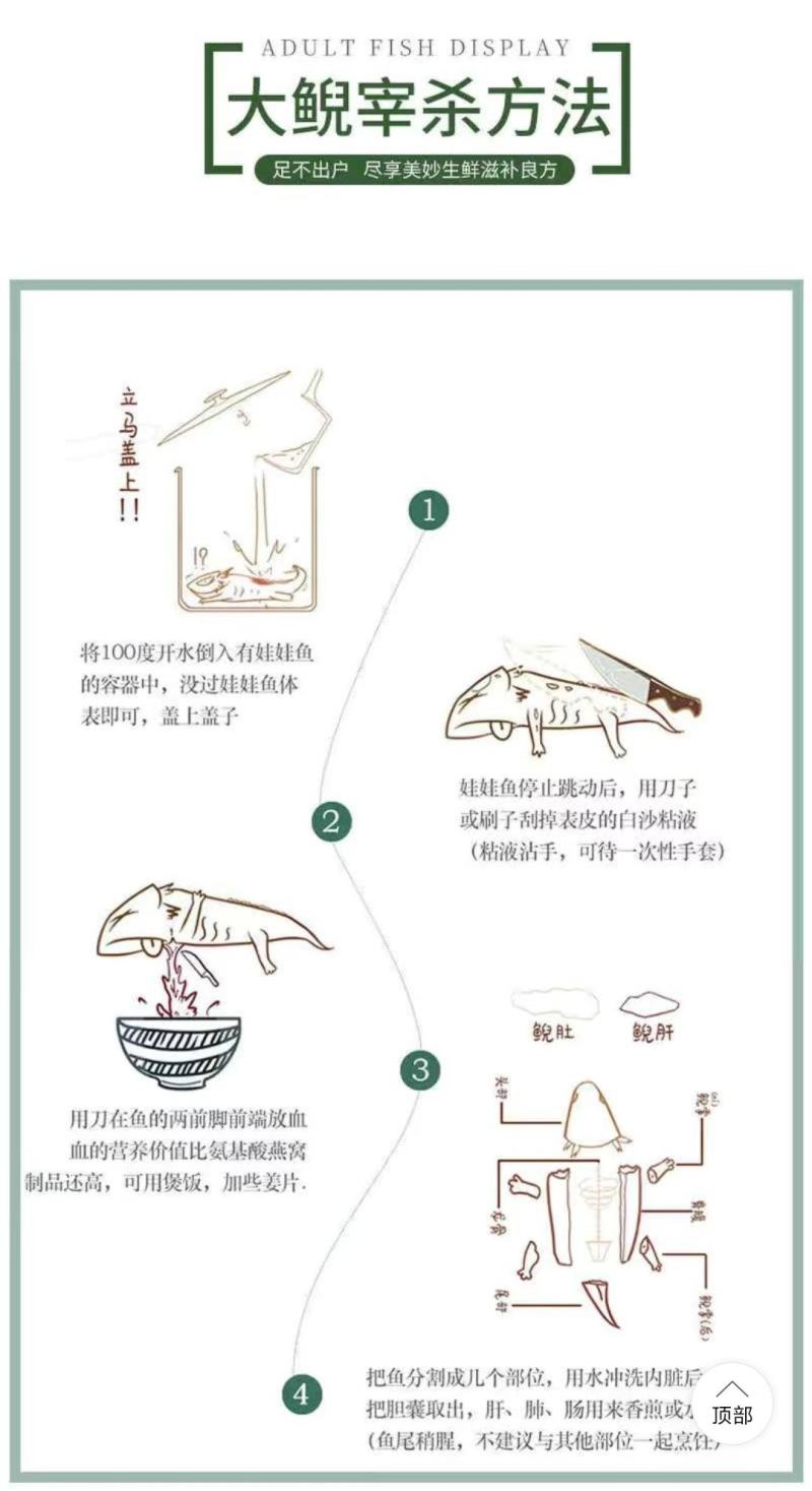 特惠精选仿生态冷水养殖大鲵娃娃鱼全国包活代理代发