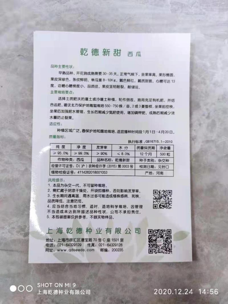 西瓜种子乾德新甜500粒/袋口感好抗病粉瓤