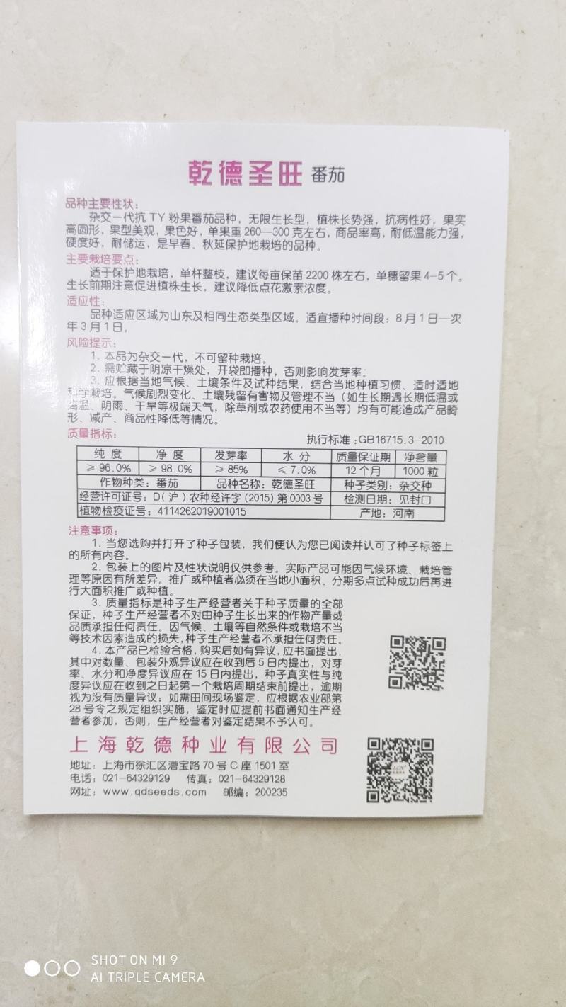 乾德圣旺粉果大果西红柿种子高圆西红柿种子口感好