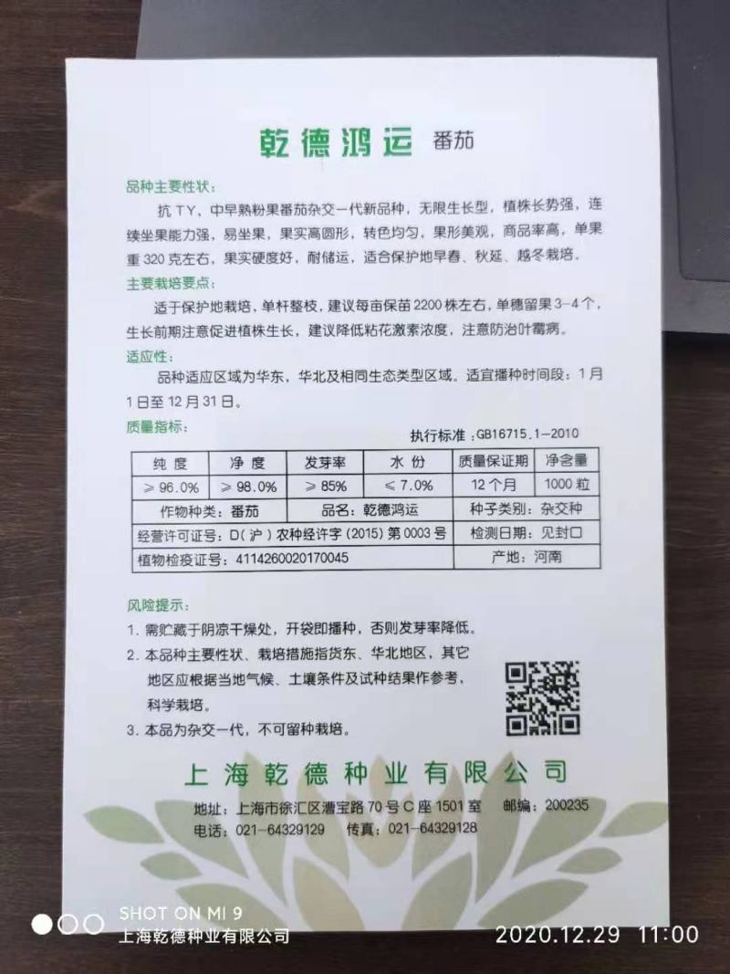 乾德鸿运抗TY中早熟粉果精品番茄，抗病高产，抗线虫