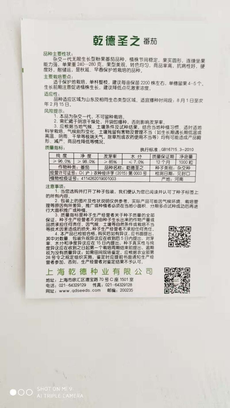 乾德圣之硬粉耐寒不空心，抗叶霉，抗叶斑