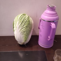 气调库青杂三号白菜大量出售