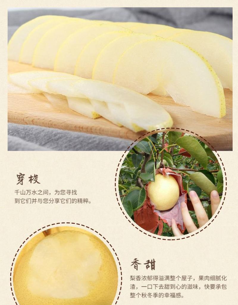 年货礼黄金蜜梨山西隰县蜜梨梨山西蜜梨隰县蜂蜜梨