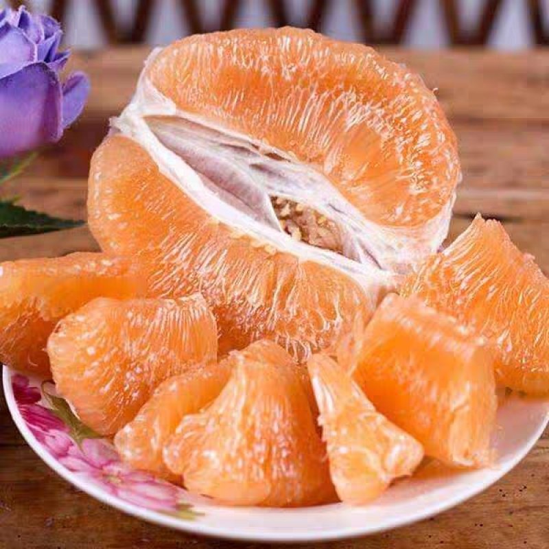 新品种早熟三红蜜柚苗《速生生长结果快》成活率高