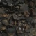 黑木耳基地直供人工种植量大从优品质保证