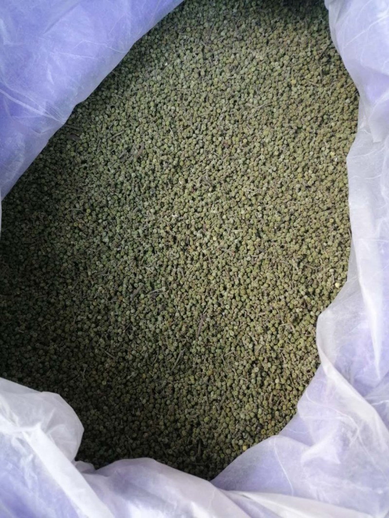 江西中花吴茱萸挂果大树.优质丰产.基地直销..提供技术