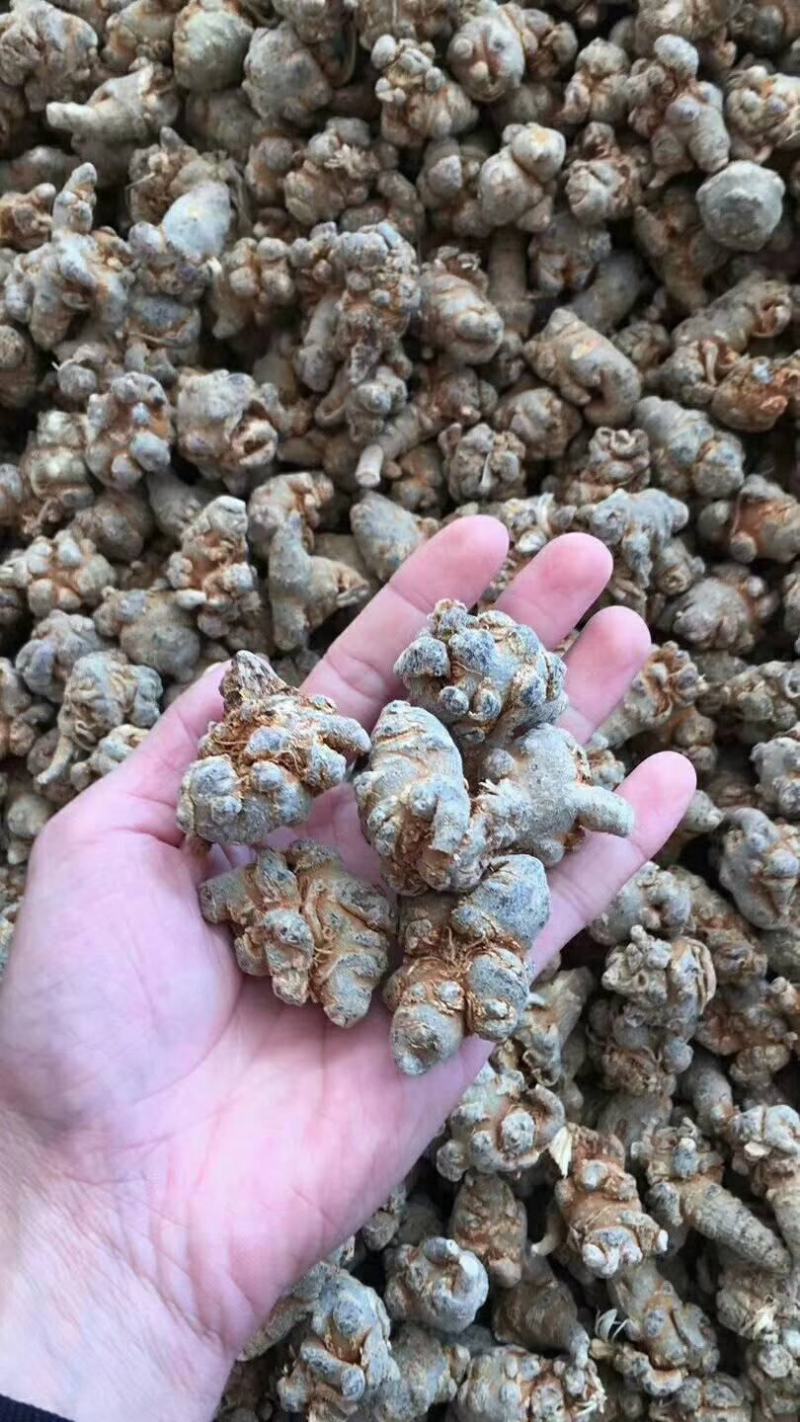 三七，田七，免费打粉，压片