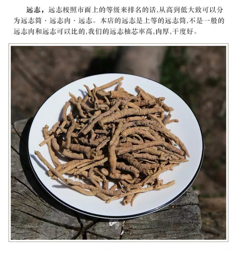 野生远志中药材远志肉抽芯率高各种规格
