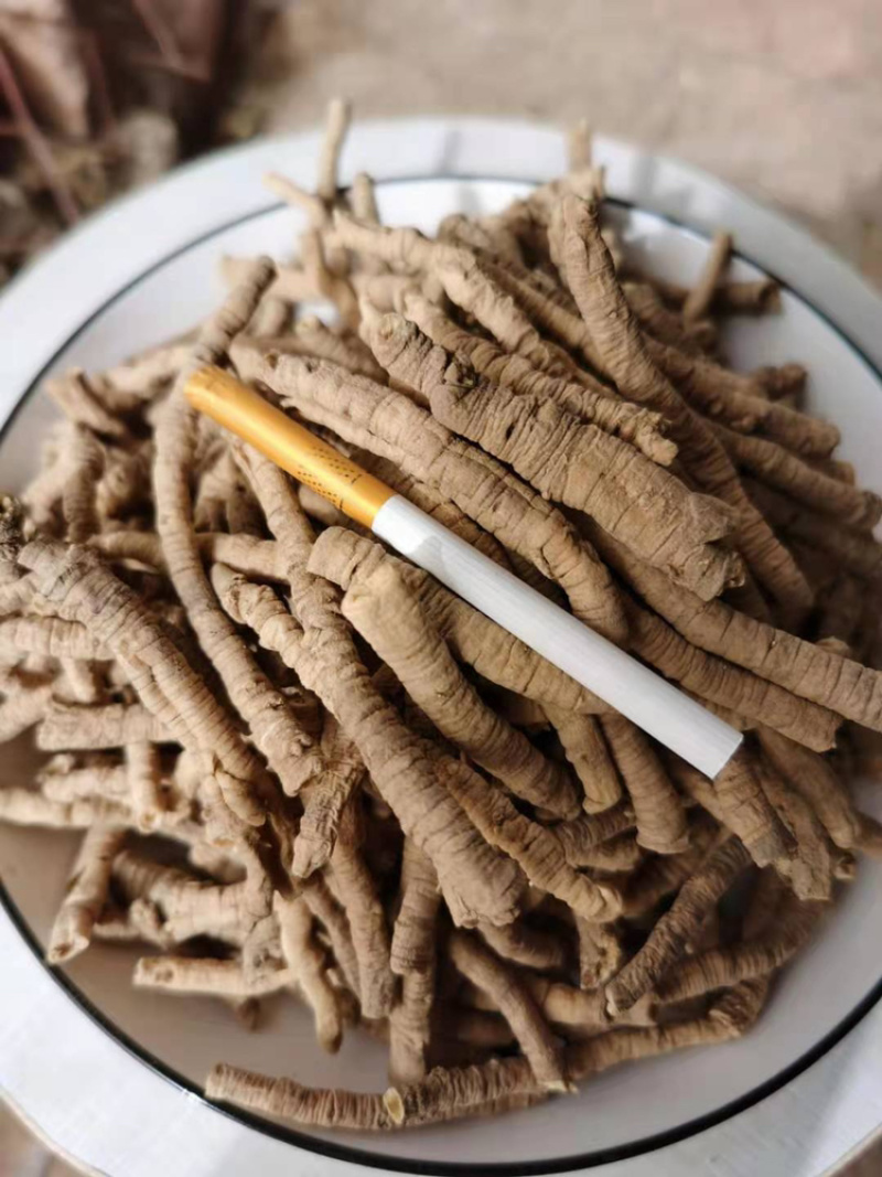 野生远志中药材远志肉抽芯率高各种规格