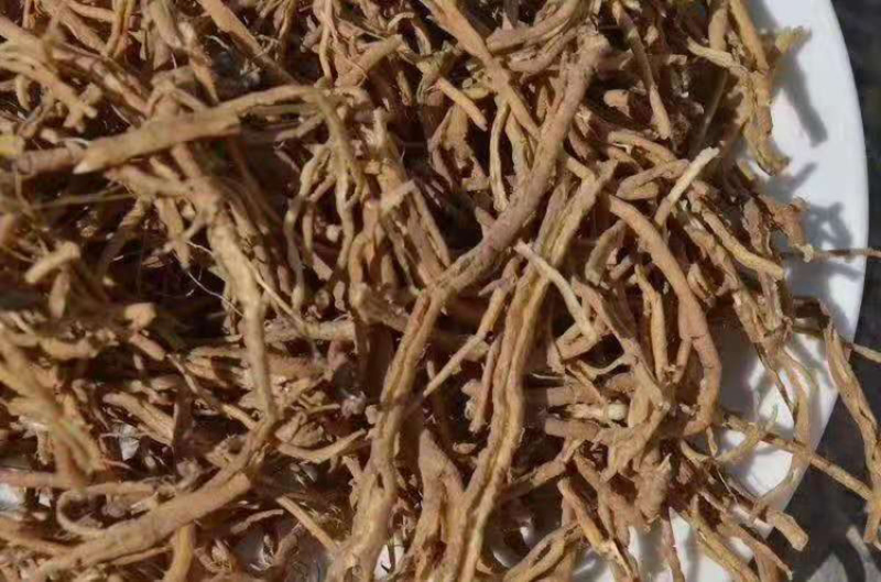 野生远志中药材远志肉抽芯率高各种规格