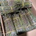 云南石斛鲜条，铁皮石斛，红杆英茂鲜条，包邮到家，欢迎联系