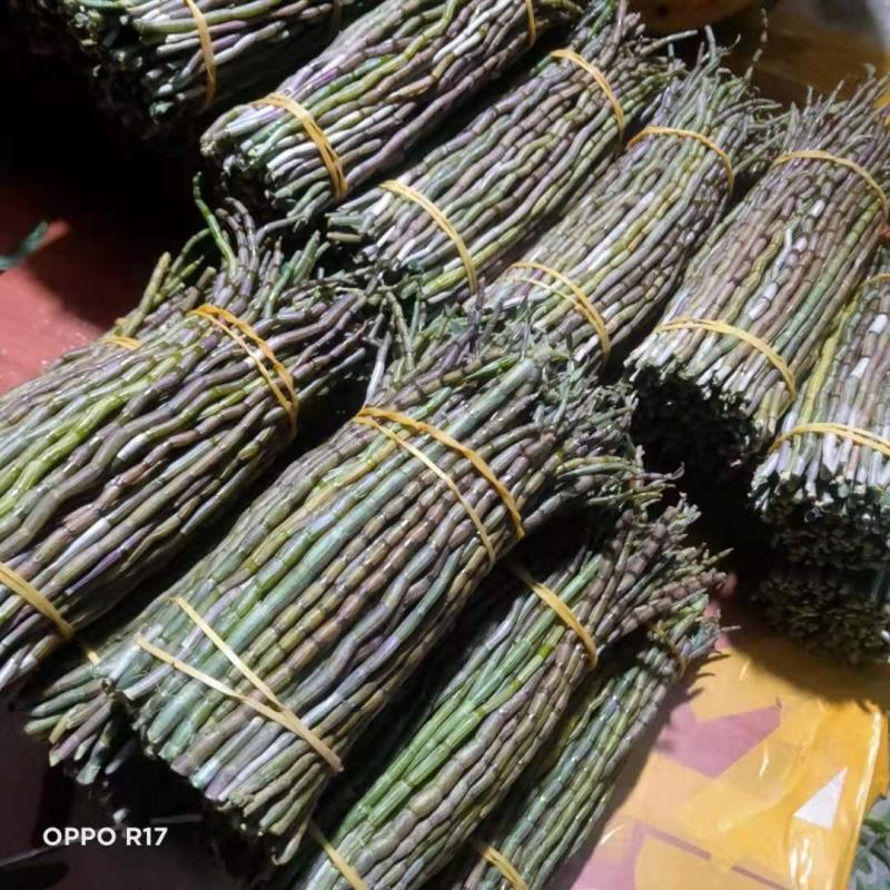 云南石斛鲜条，铁皮石斛，红杆英茂鲜条，包邮到家，欢迎联系