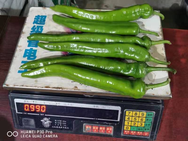广州江南批发市场专业代卖代购全国各地蔬菜