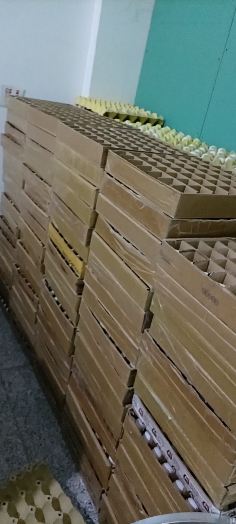 新鲜鸽蛋批发，零售，直供电商