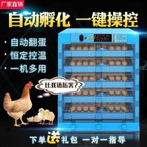 （厂家）孵化机孵化器全自动智能型鸡鹅鸭蛋孵蛋机