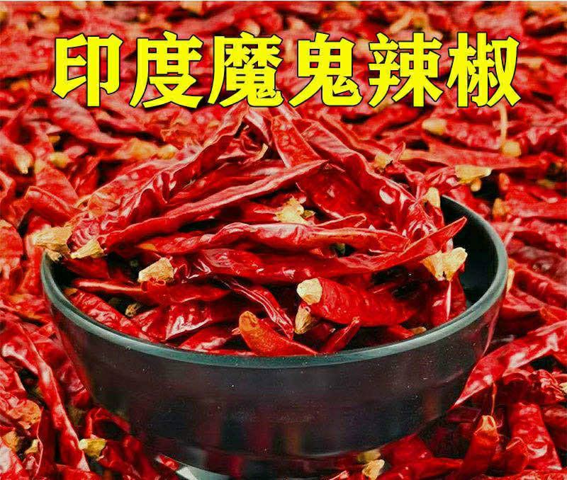 印度干辣椒魔鬼椒红辣椒朝天辣特辣干货包邮