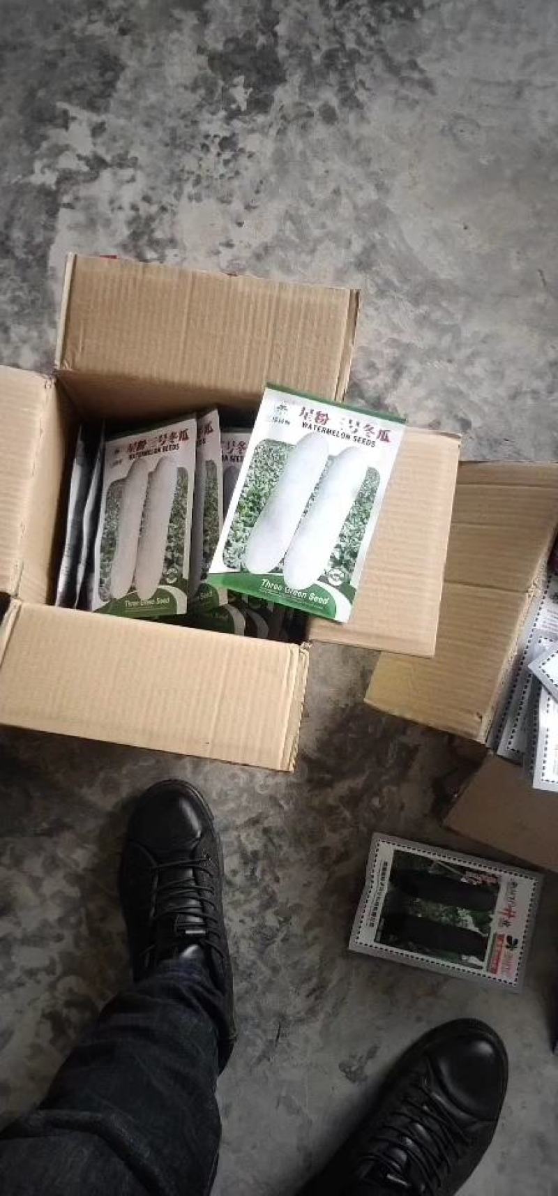 《兴蔬墨地龙》品种多，放心种子，老品牌，口碑好，值得拥有