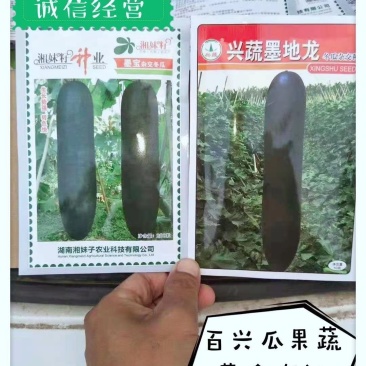 《兴蔬墨地龙》品种多，放心种子，老品牌，口碑好，值得拥有