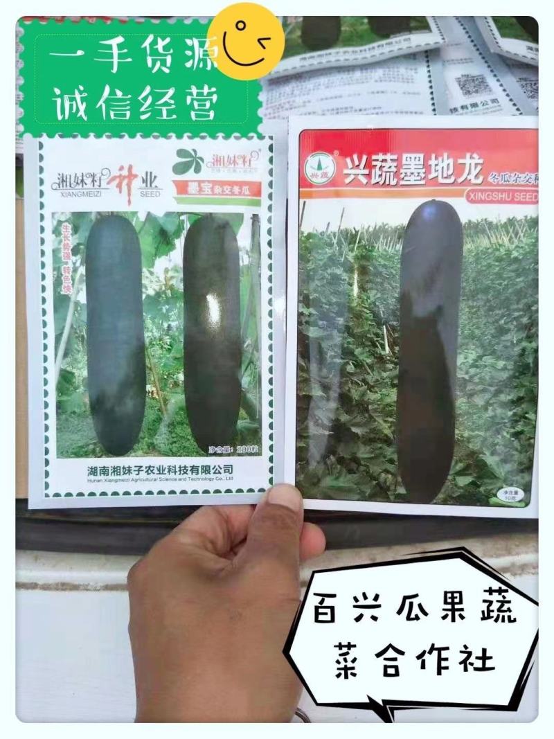 《兴蔬墨地龙》品种多，放心种子，老品牌，口碑好，值得拥有