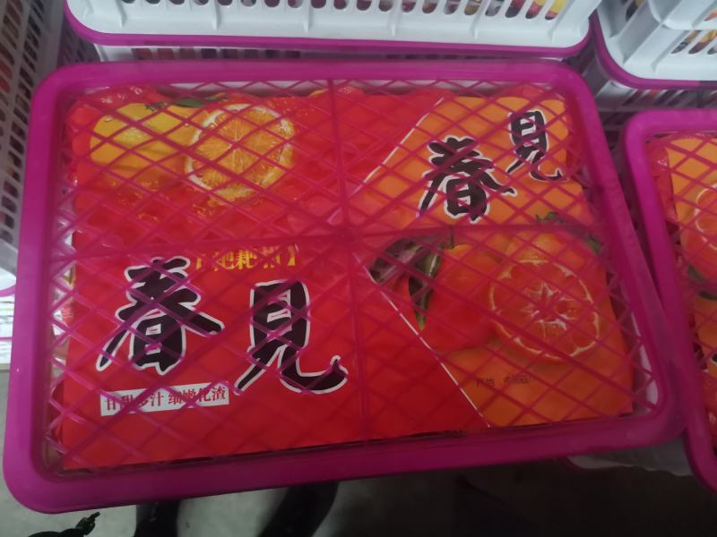 春见耙耙柑次果商品耙耙柑高次果蒲江耙耙柑精品次果鲜货产地