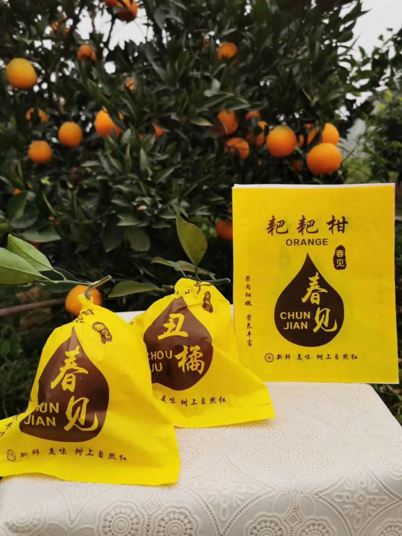 果袋大炮桔不知果丑桔耙耙柑包装盖面纸批发零售