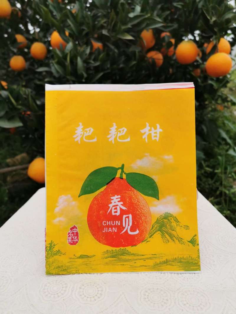 果袋大炮桔不知果丑桔耙耙柑包装盖面纸批发零售