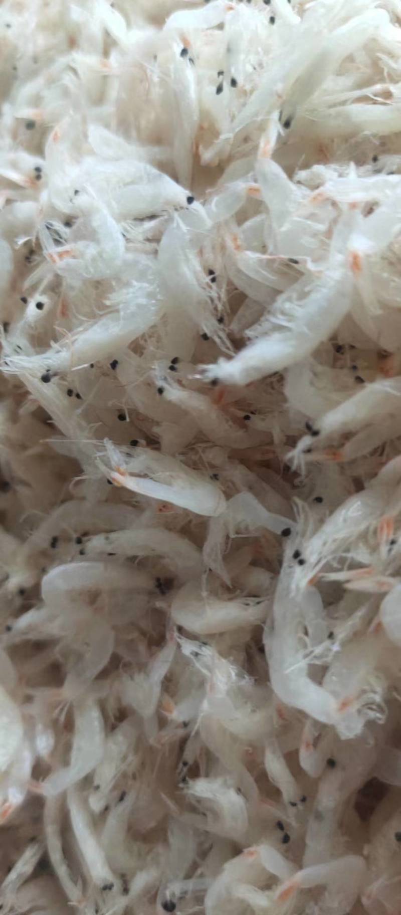淡干无盐虾皮，即食，做汤，包水饺，都可以。
