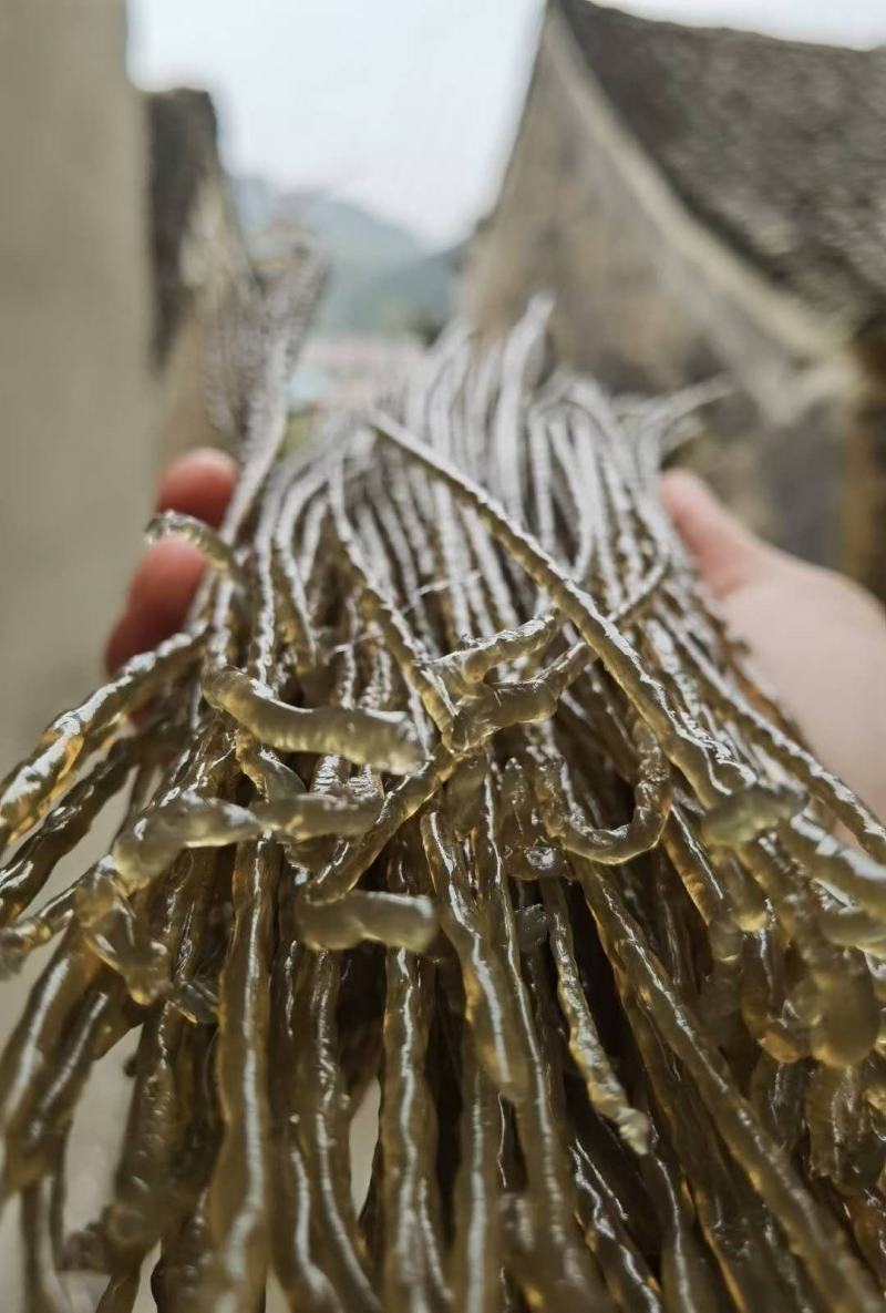 桂林灌阳纯红薯粉条，无任何添加剂量大从优欢迎咨询