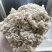 千日红种子千日紫，千日粉，千日白花卉种子
