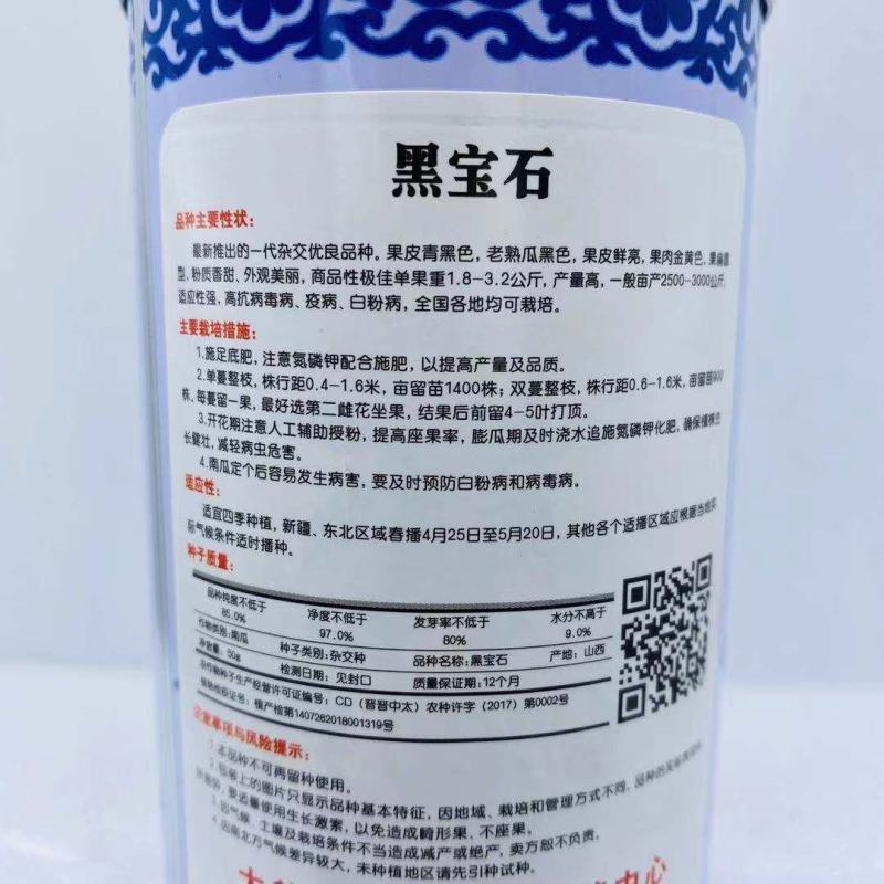 黑宝石南瓜种子果皮青黑色成熟后黑色一代杂交品种基地