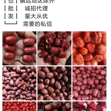 山东省乐陵市《金丝小枣》地方特产一件批发