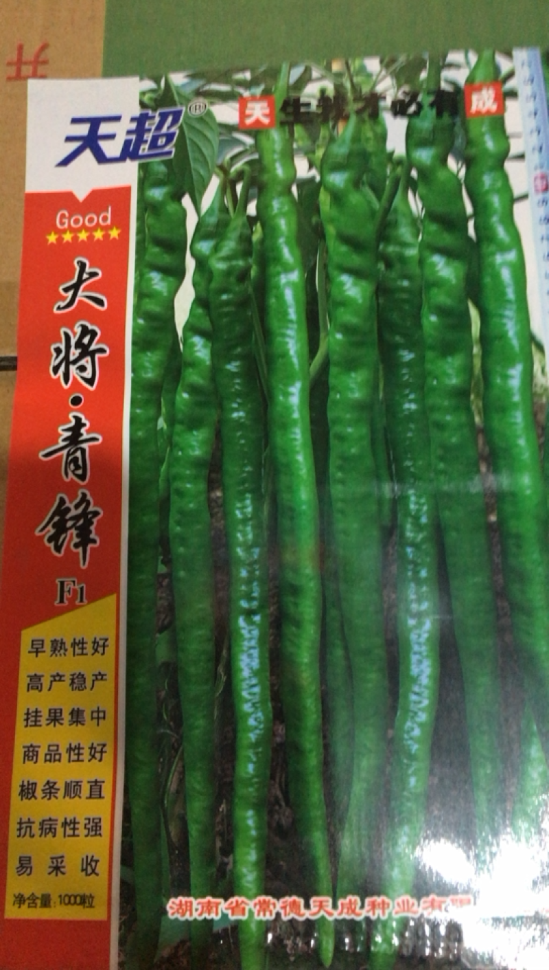 大将军．青锋辣椒种子