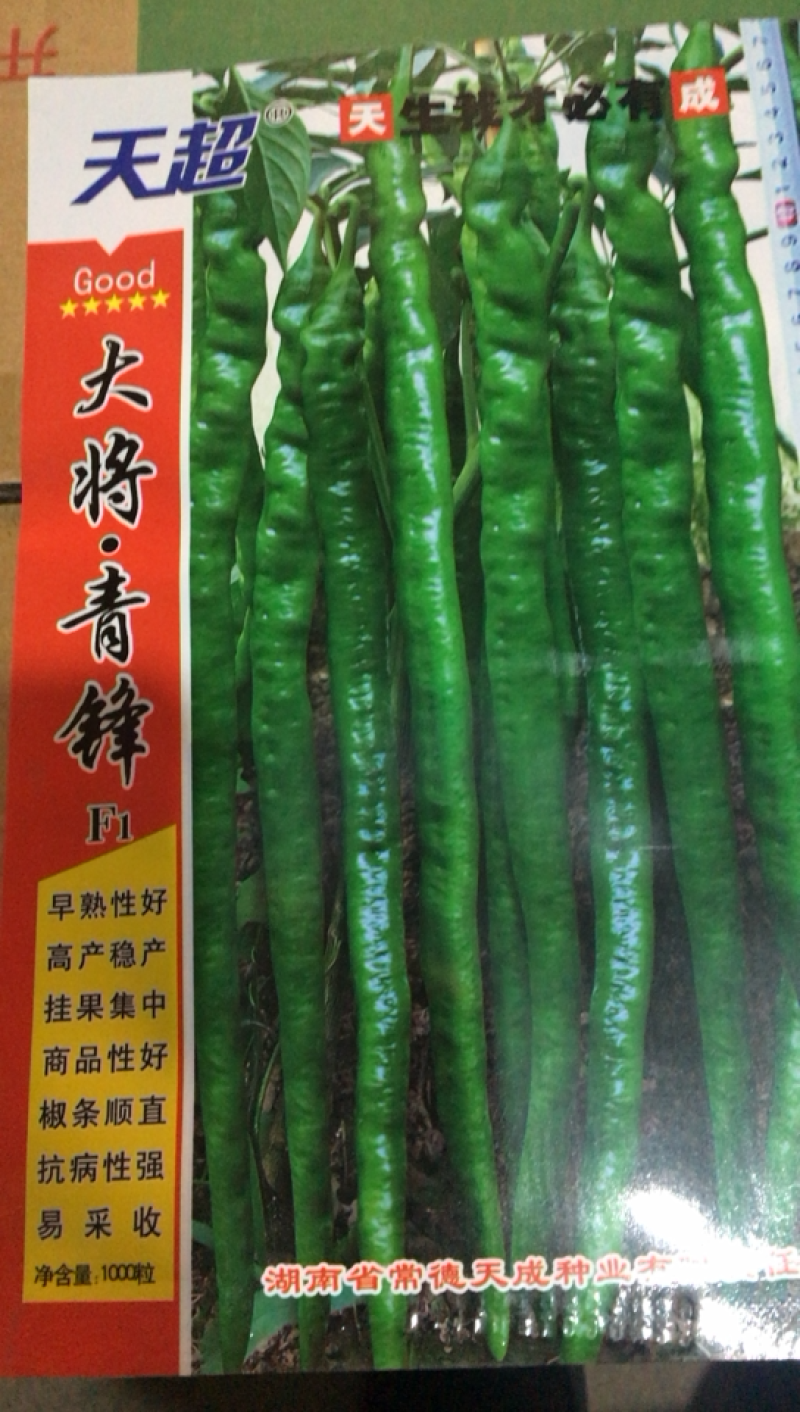 大将军．青锋辣椒种子