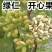 新品种阿月浑子早熟开心果树苗《速生生长结果快》