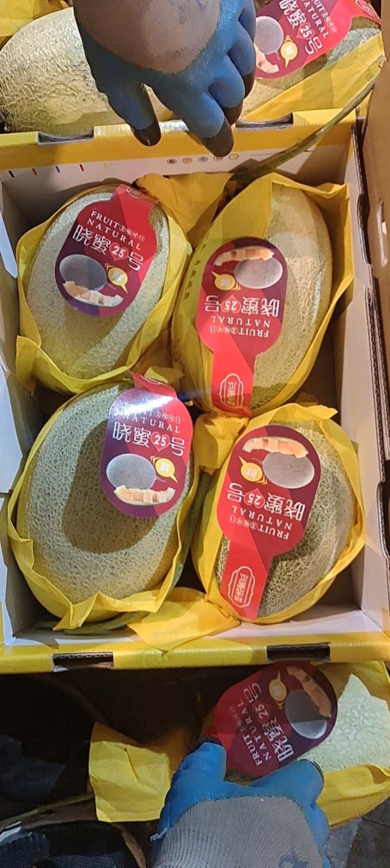 海南哈密瓜供应超市，电商、团购、市场、欢迎客户下单定购