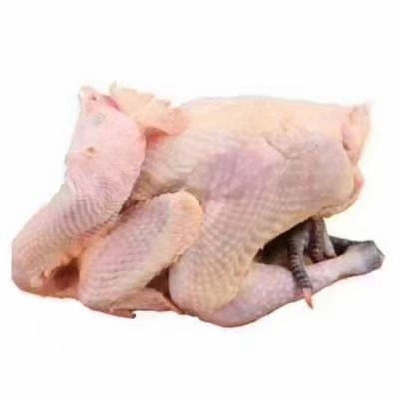 章丘铁锅炒鸡-铁锅炒鸡，味道美美的原材料～黑脚麻鸡供应中