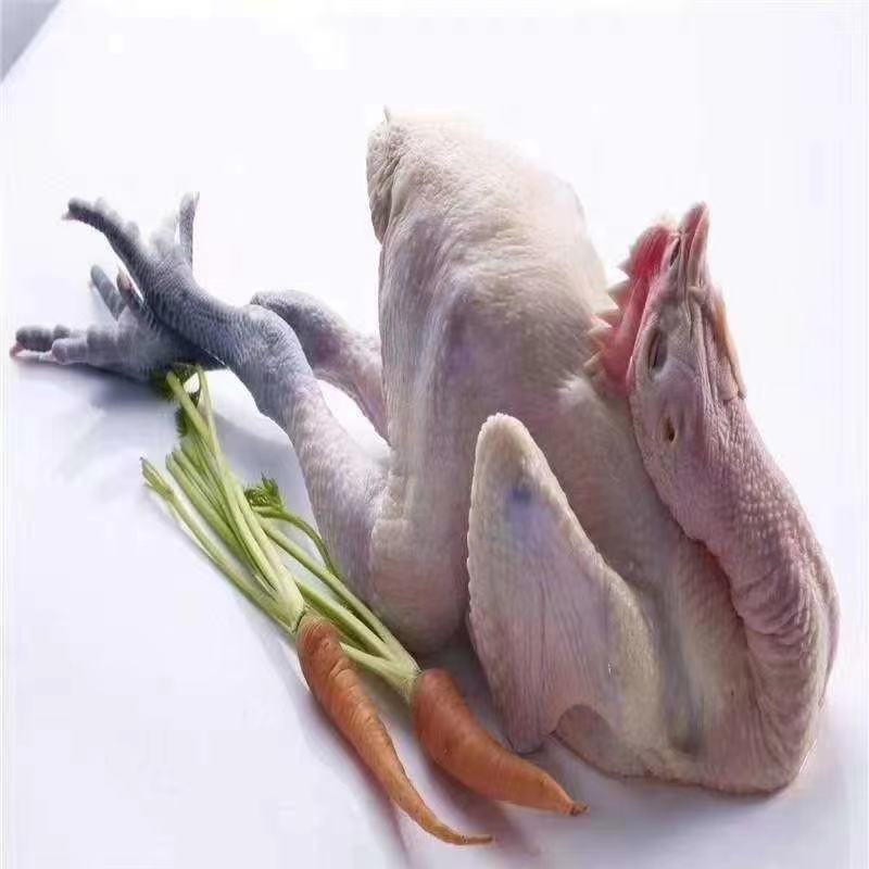 章丘铁锅炒鸡-铁锅炒鸡，味道美美的原材料～黑脚麻鸡供应中