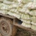 娃娃菜便宜卖了，，，。。