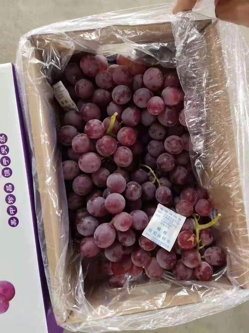 葡萄，精品巨峰葡萄礼品盒商超电商直供，质优价廉量大从优