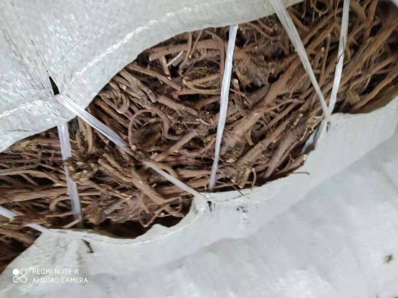 柴胡北柴胡黑柴胡红柴胡！符合药典药厂