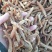产地批发无糖无硫优质小红参量大从优无糖更安全