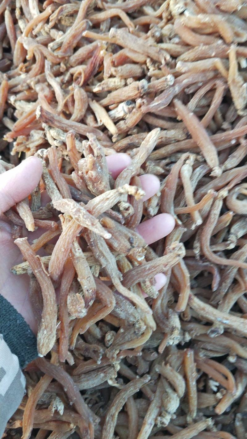 产地批发无糖无硫优质小红参量大从优无糖更安全