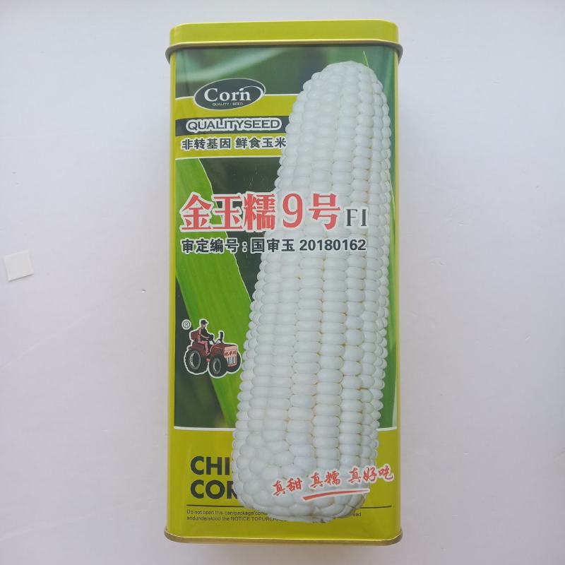 金玉糯9号糯玉米种子国审玉鲜食糯玉米种子