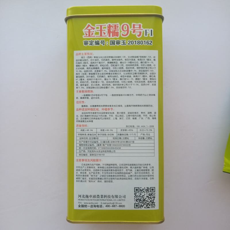 金玉糯9号糯玉米种子国审玉鲜食糯玉米种子