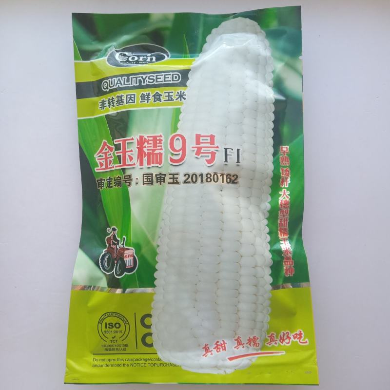 金玉糯9号糯玉米种子国审玉鲜食糯玉米种子