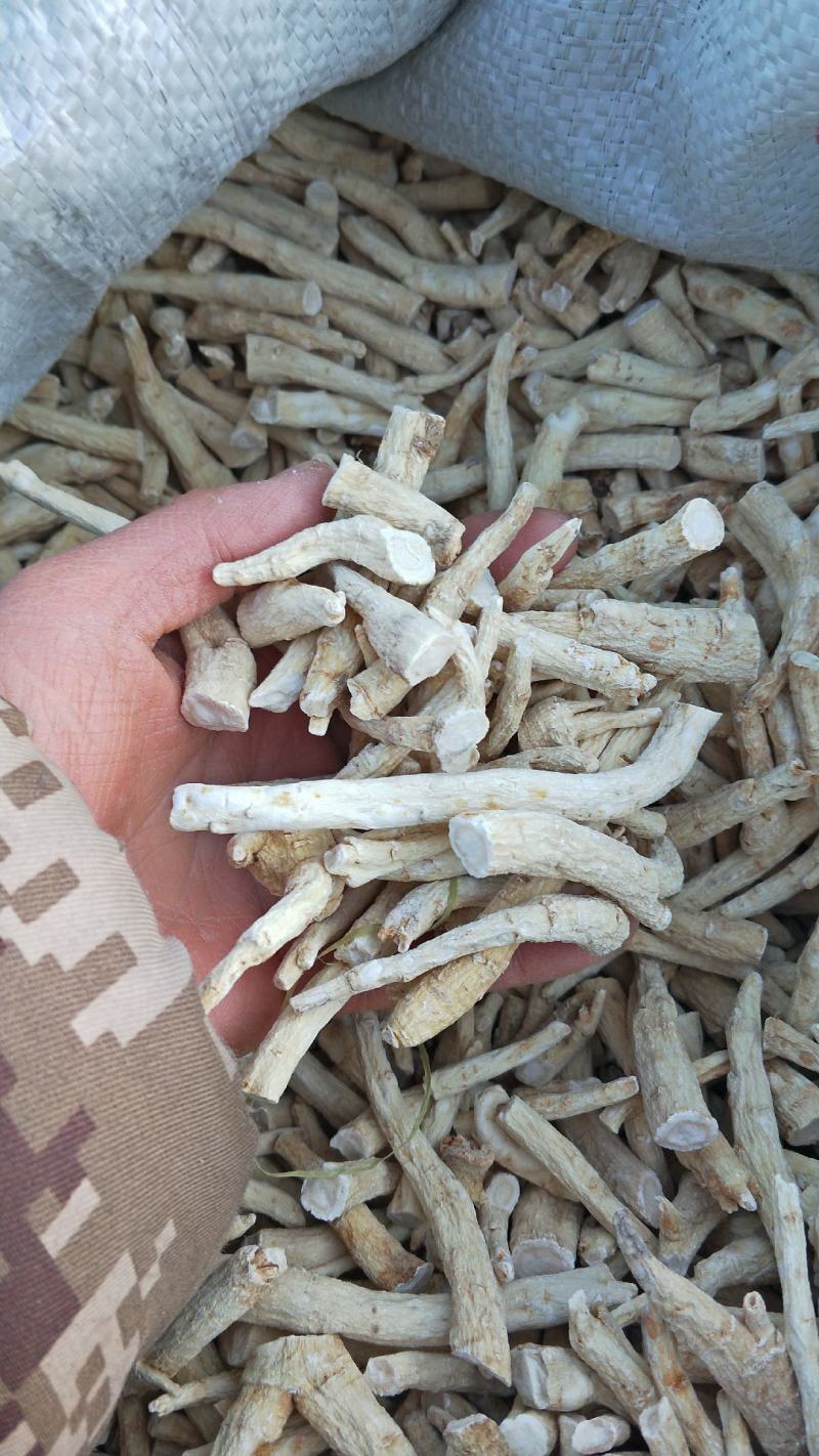 优质5年[无硫西洋参丁]原产地批发一手货源量大从优