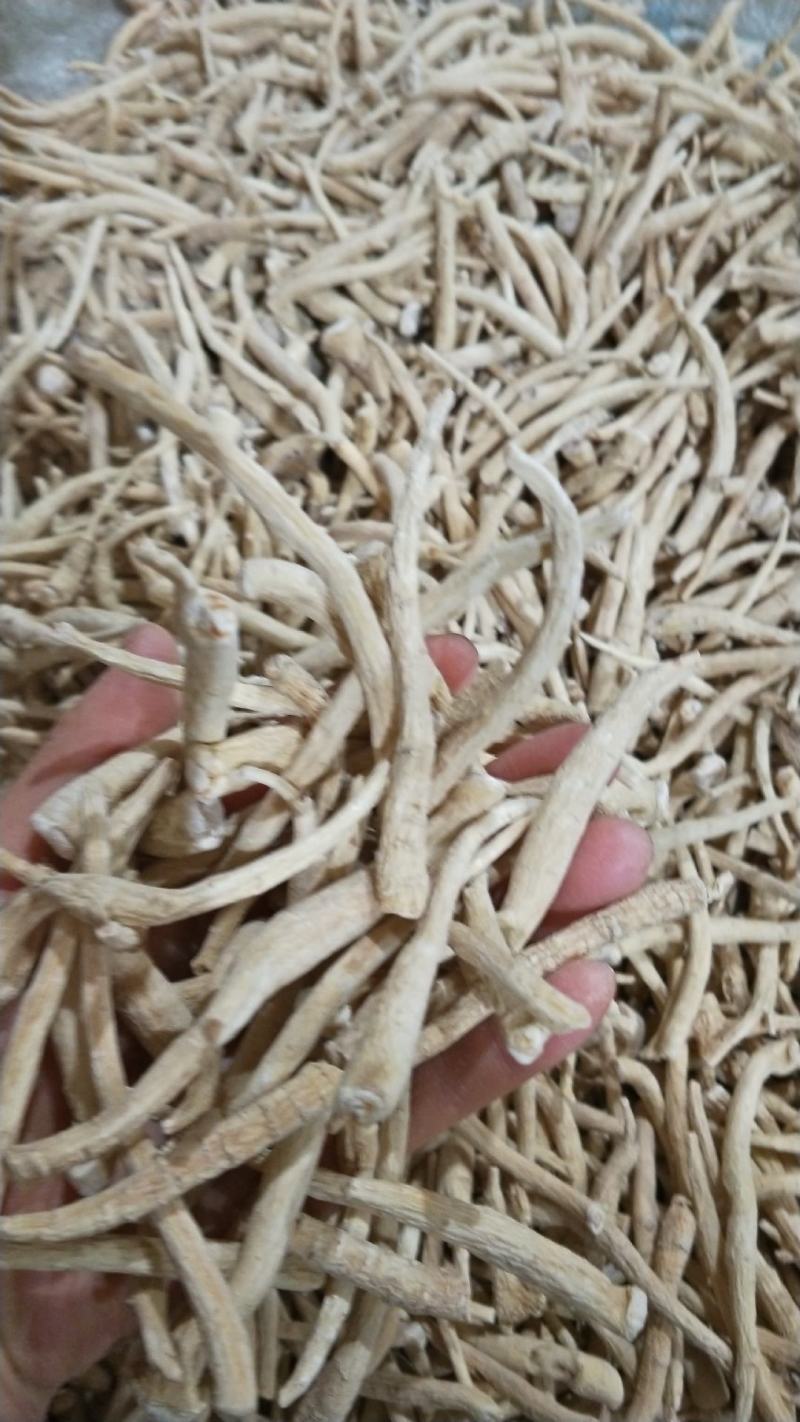 优质5年[无硫西洋参丁]原产地批发一手货源量大从优